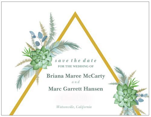 Briana Mccarty And Marcus Hansen S Wedding Website