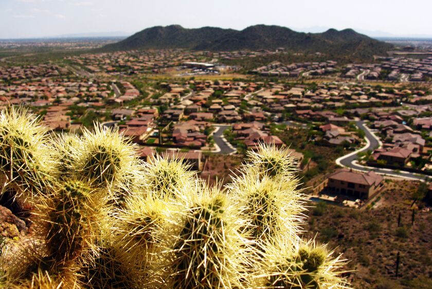 Cibola Vista Weddings