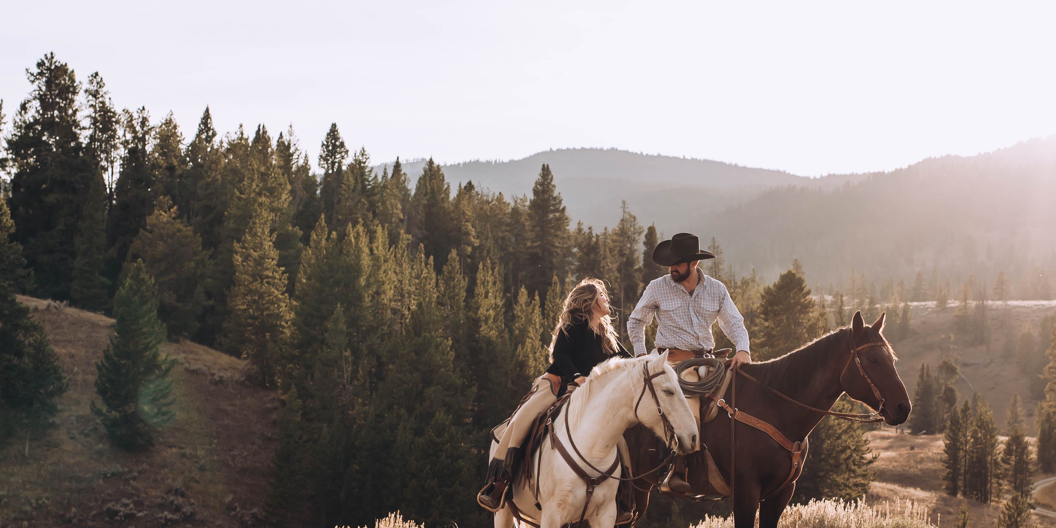 mountain horse audrey jacket