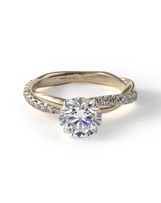 James Allen Pave Rope Engagement Ring Engagement Ring - The Knot