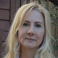 Vendor