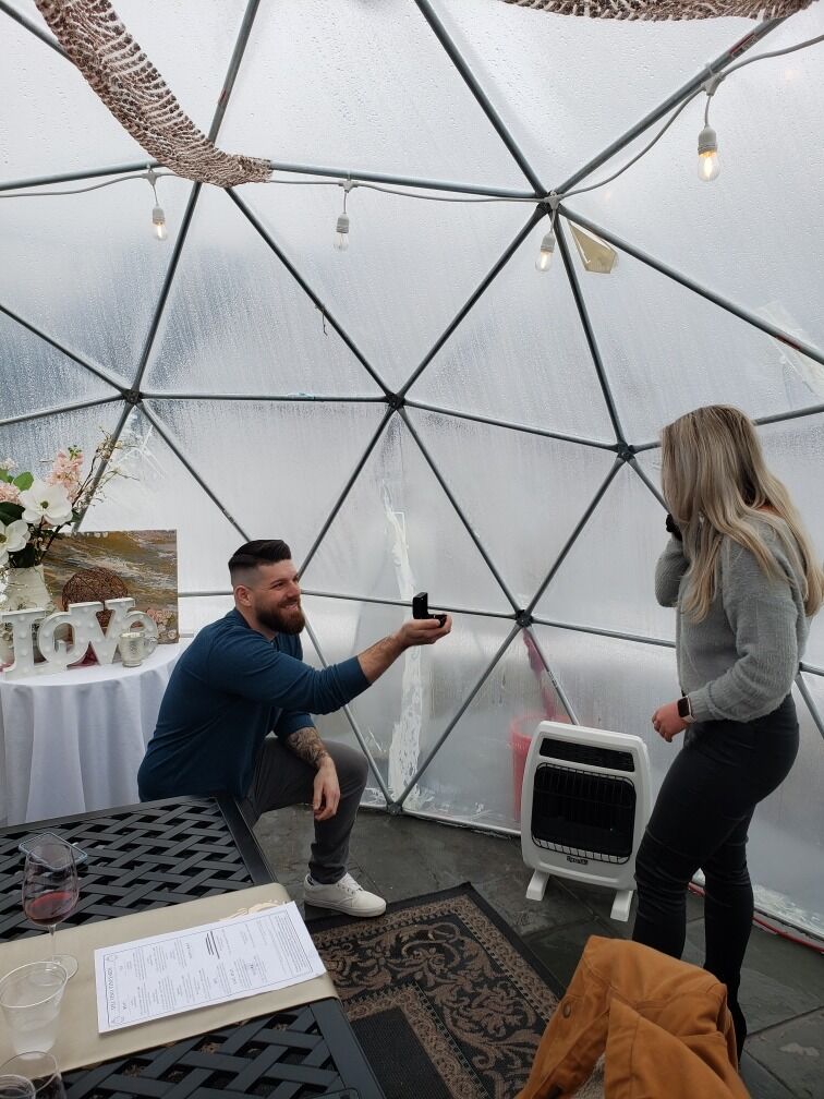 Picture of The Proposal