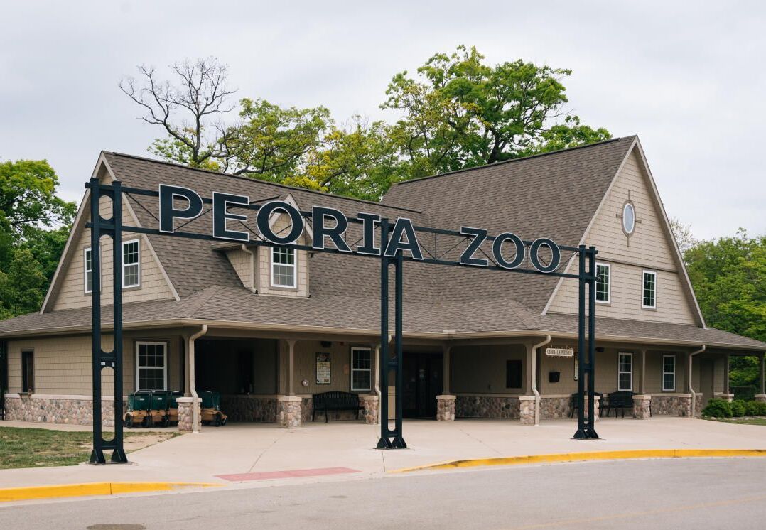 Picture of Peoria Zoo