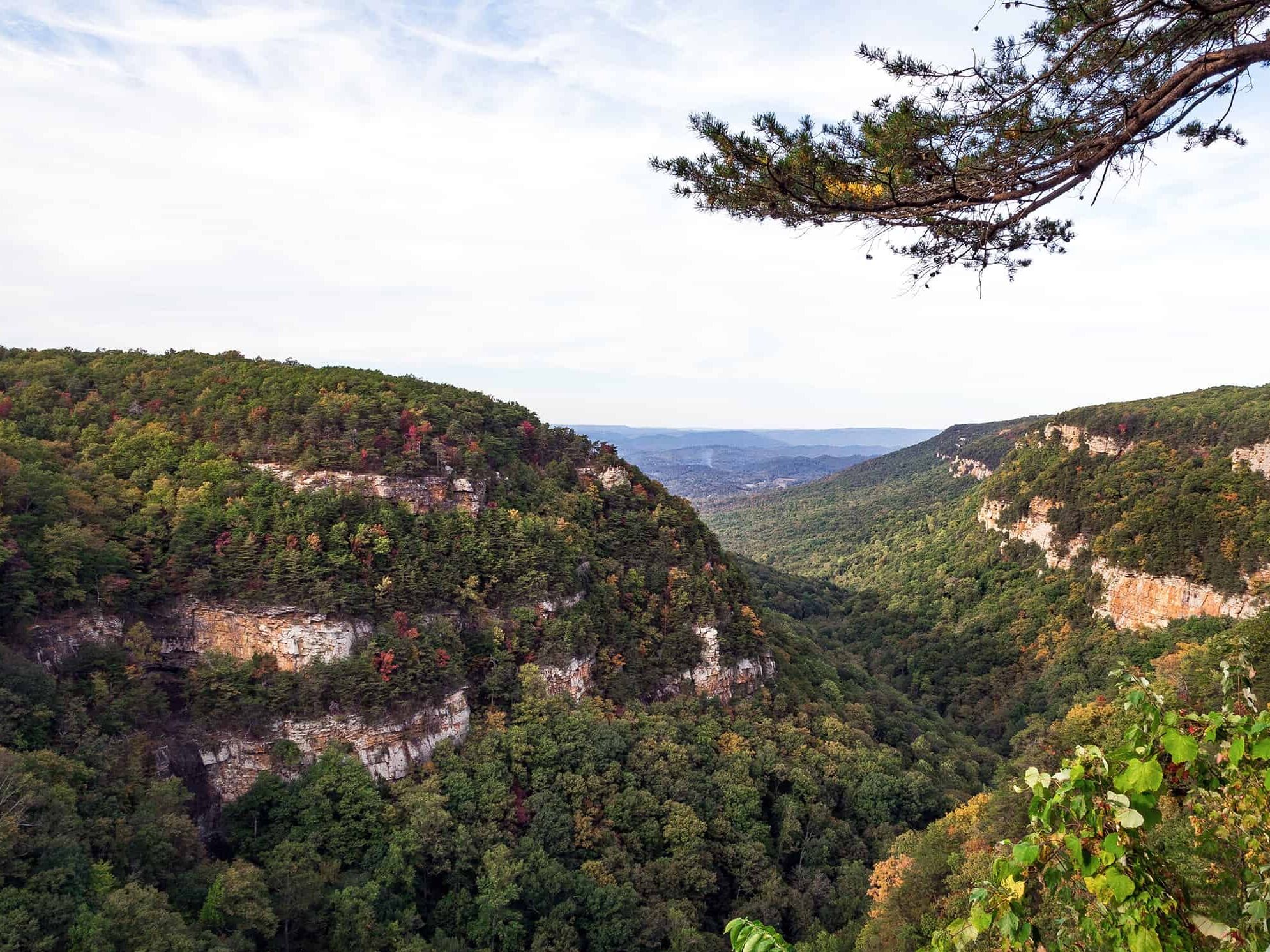 Picture of Cloudland Canyon State Park